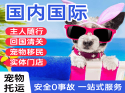 连云港花果山国际宠物托运 【国